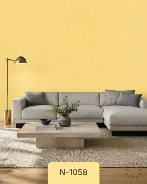 لون N-1058 من دهانات تايم