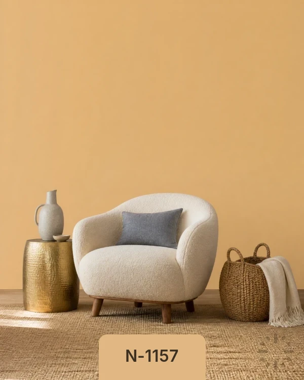 لون N-1157 من دهانات تايم