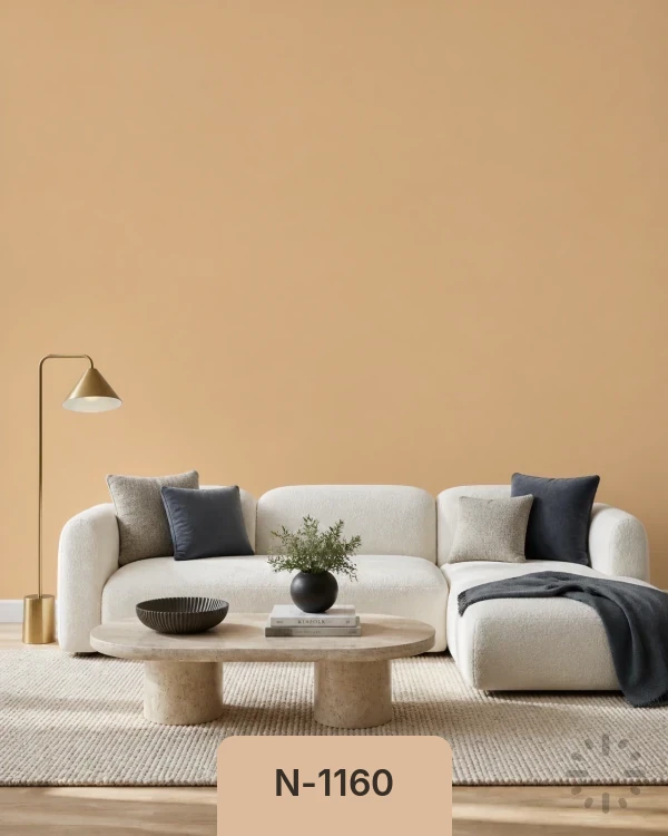 لون N-1160 من دهانات تايم