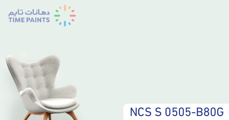 NCS S 0505-B80G