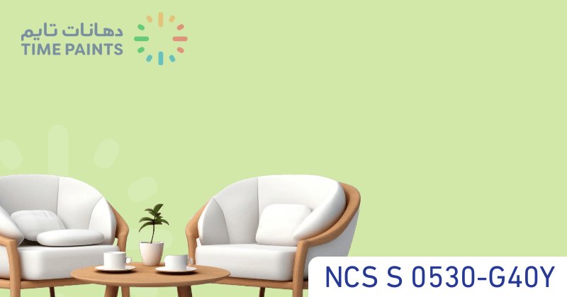 NCS S 0530-G40Y