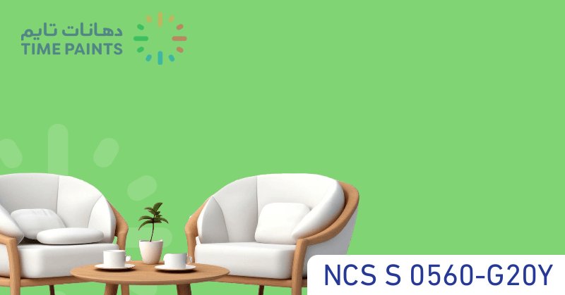 NCS S 0560-G20Y