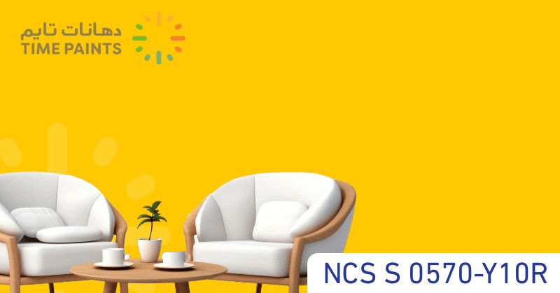 NCS S 0570-Y10R