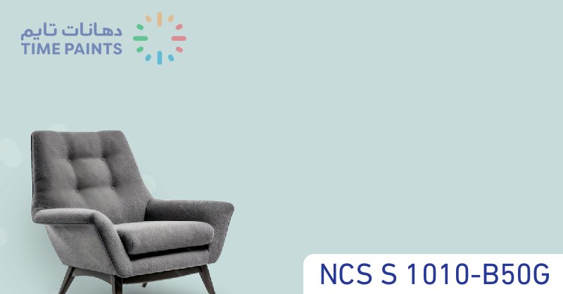 NCS S 1010-B50G