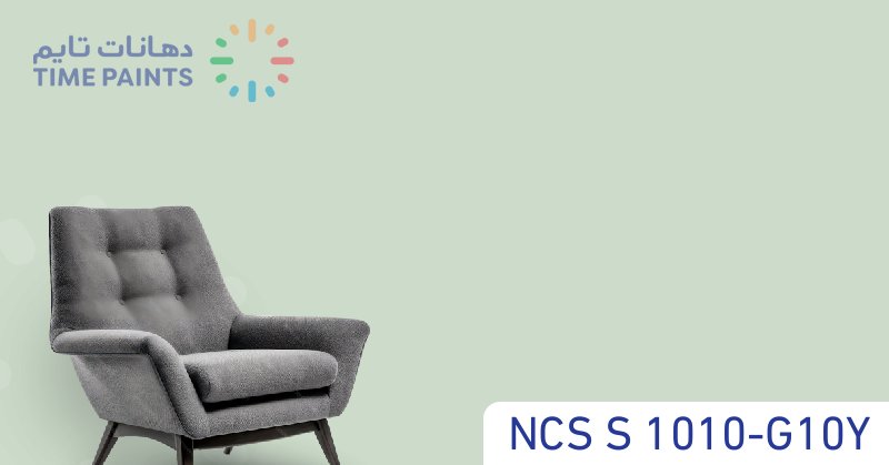 NCS S 1010-G10Y