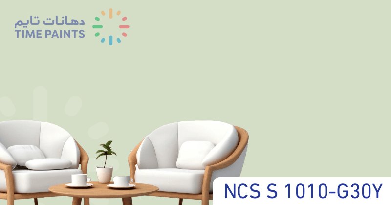 NCS S 1010-G30Y