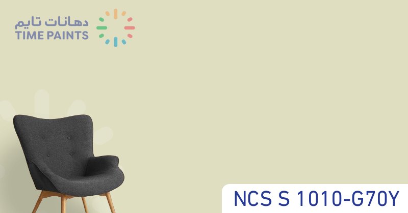 NCS S 1010-G70Y