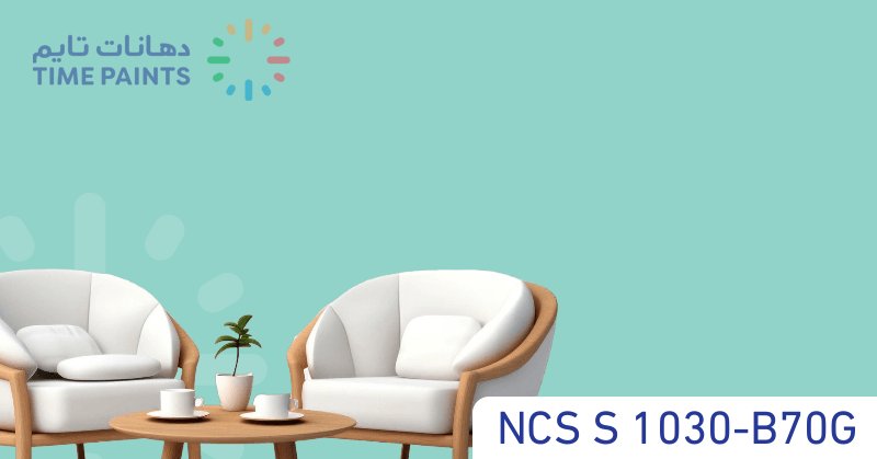 NCS S 1030-B70G