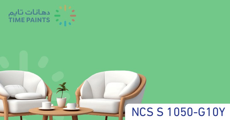 NCS S 1050-G10Y