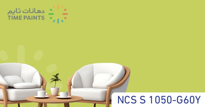 NCS S 1050-G60Y