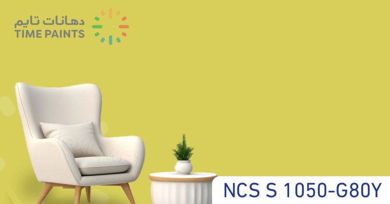 NCS S 1050-G80Y