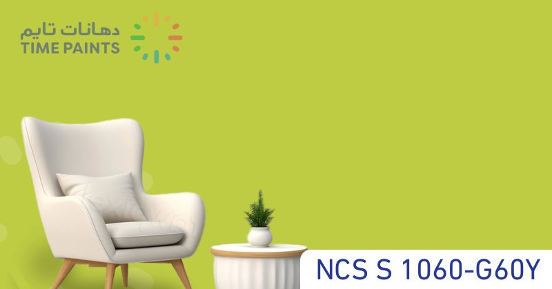 NCS S 1060-G60Y