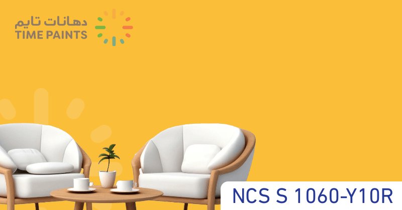 NCS S 1060-Y10R