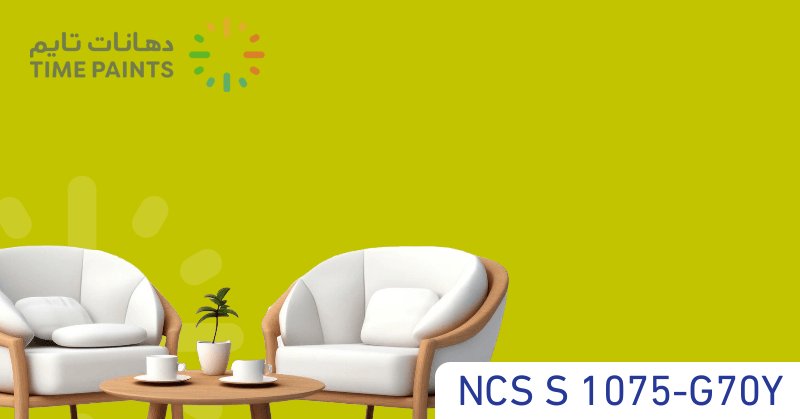 NCS S 1075-G70Y
