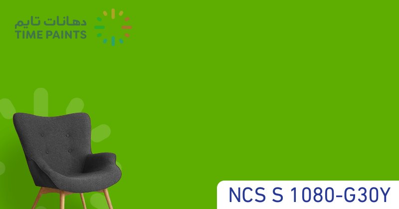 NCS S 1080-G30Y