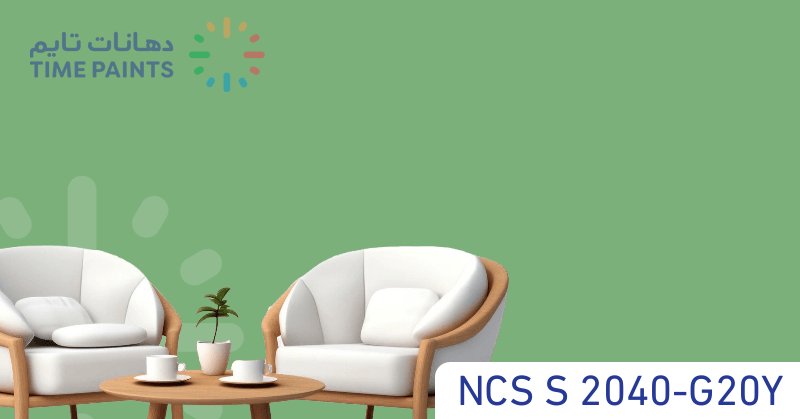 NCS S 2040-G20Y