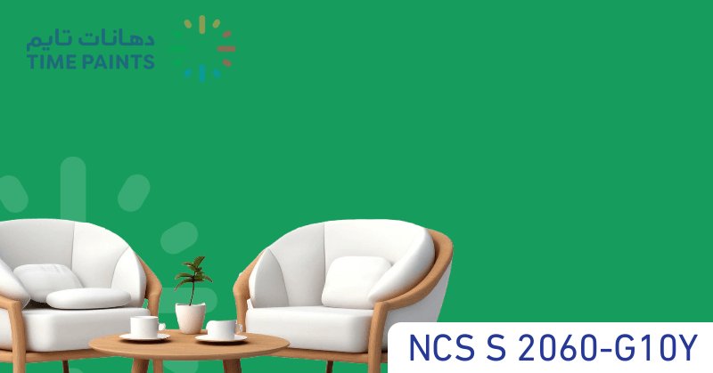 NCS S 2060-G10Y