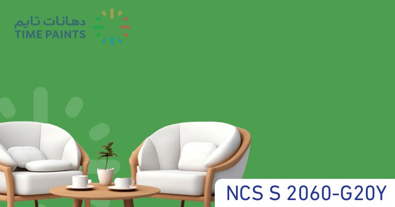 NCS S 2060-G20Y