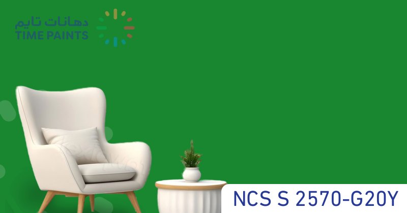 NCS S 2570-G20Y