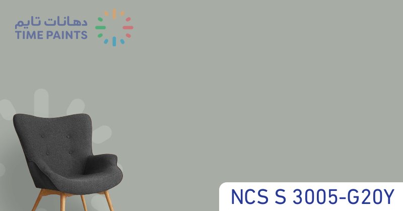 NCS S 3005-G20Y