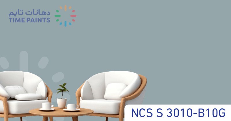 NCS S 3010-B10G
