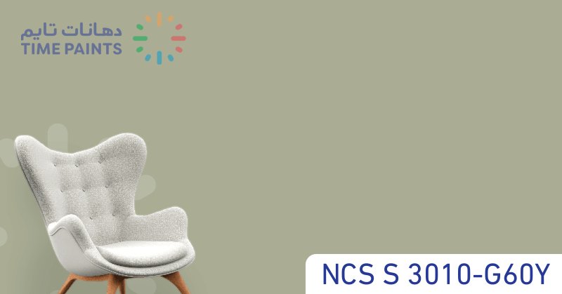 NCS S 3010-G60Y