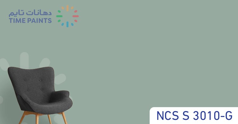 NCS S 3010-G