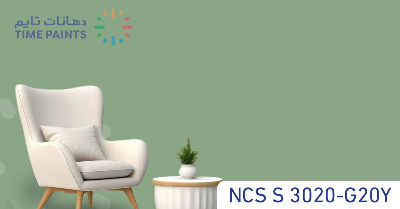 NCS S 3020-G20Y