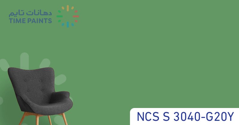 NCS S 3040-G20Y