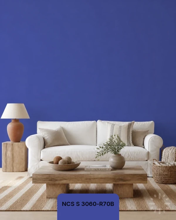 لون NCS S 3060-R70B من دهانات تايم
