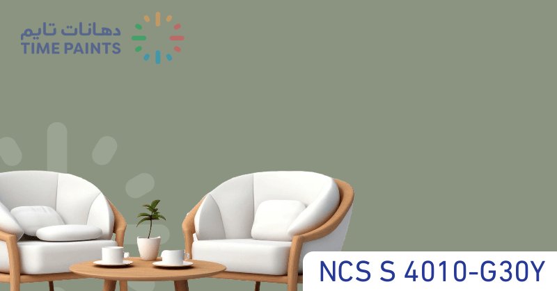 NCS S 4010-G30Y