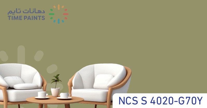 NCS S 4020-G70Y