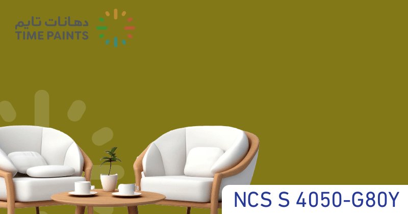 NCS S 4050-G80Y