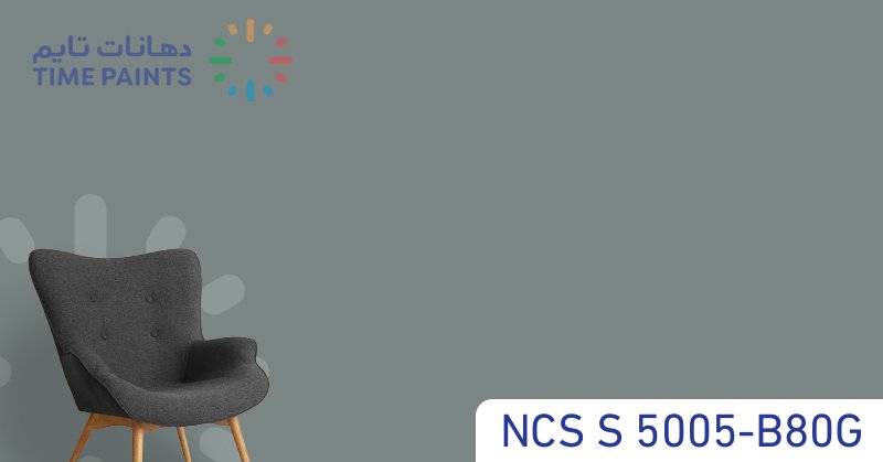 NCS S 5005-B80G