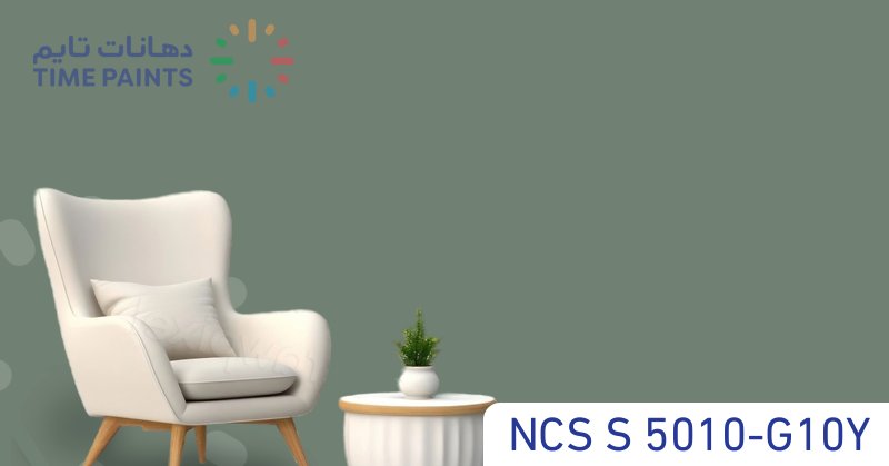 NCS S 5010-G10Y
