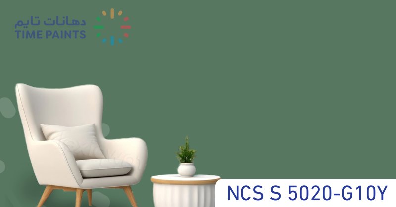 NCS S 5020-G10Y