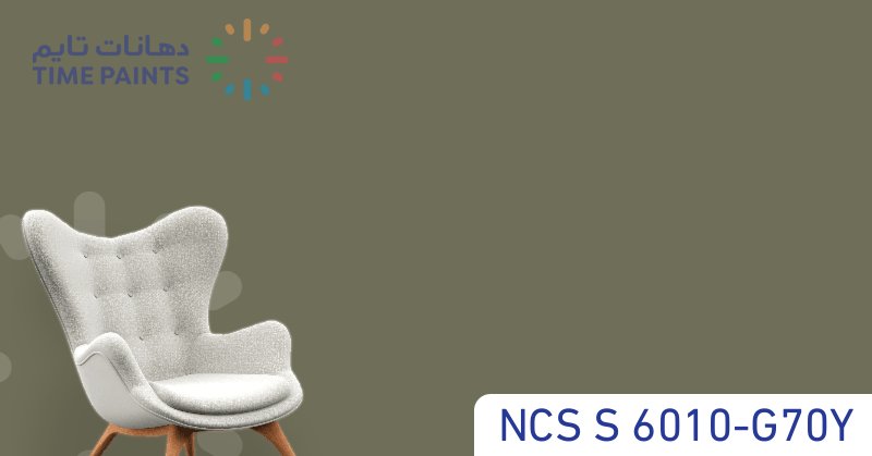 NCS S 6010-G70Y