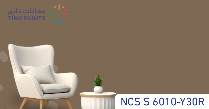 NCS S 6010-Y30R