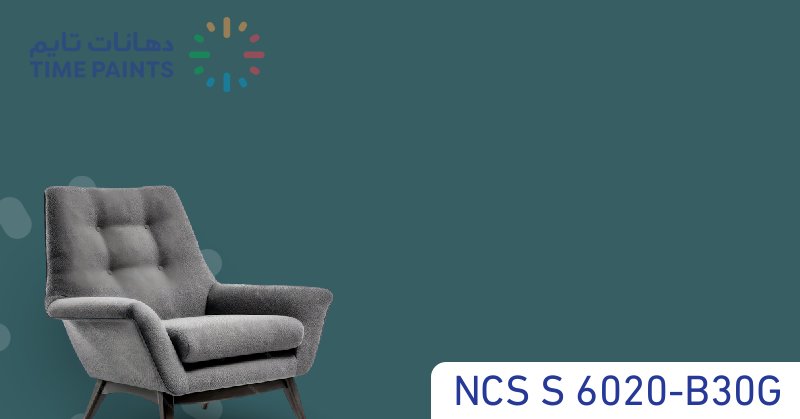 NCS S 6020-B30G