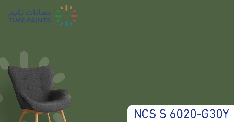 NCS S 6020-G30Y