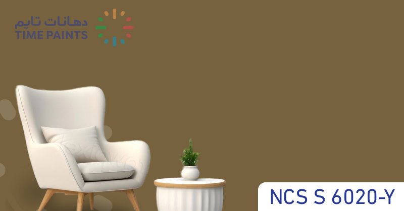 NCS S 6020-Y
