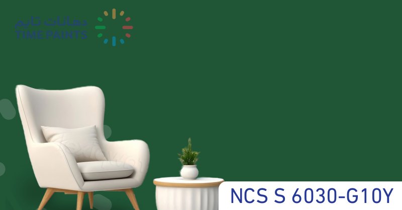 NCS S 6030-G10Y