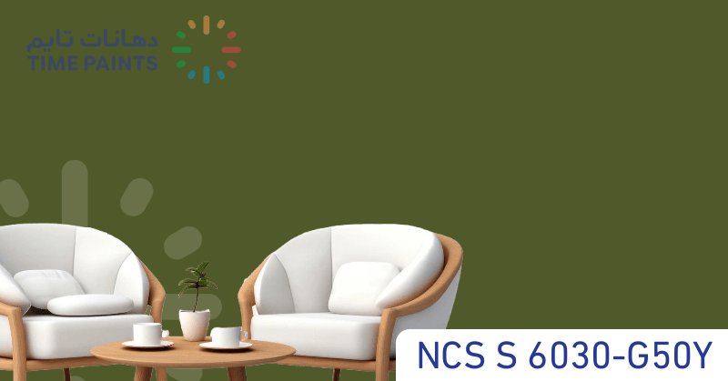 NCS S 6030-G50Y