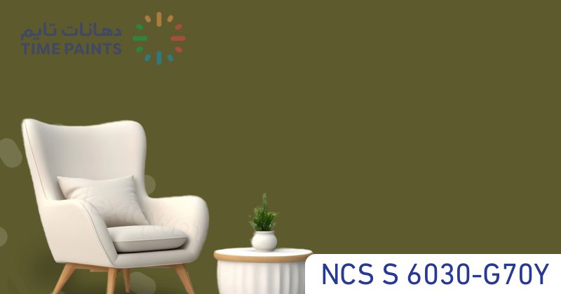 NCS S 6030-G70Y
