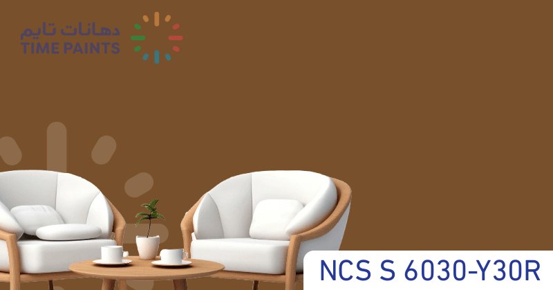 NCS S 6030-Y30R