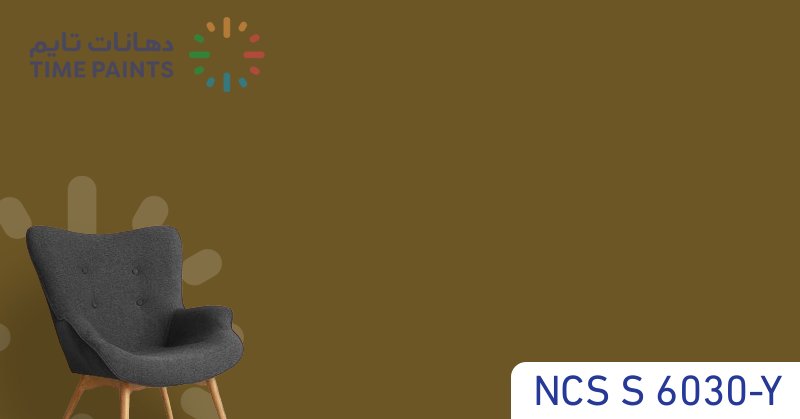 NCS S 6030-Y