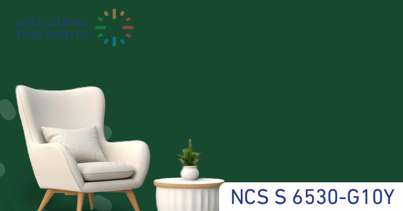 NCS S 6530-G10Y