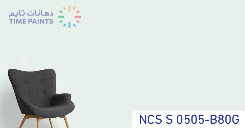 NCS S 0505-B80G