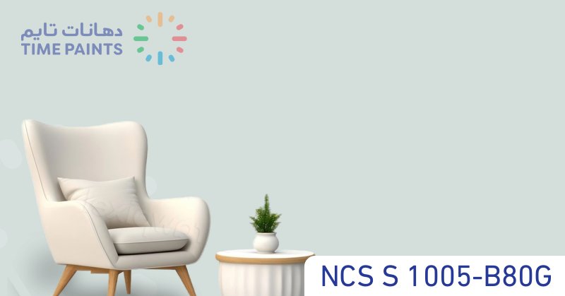 NCS S 1005-B80G