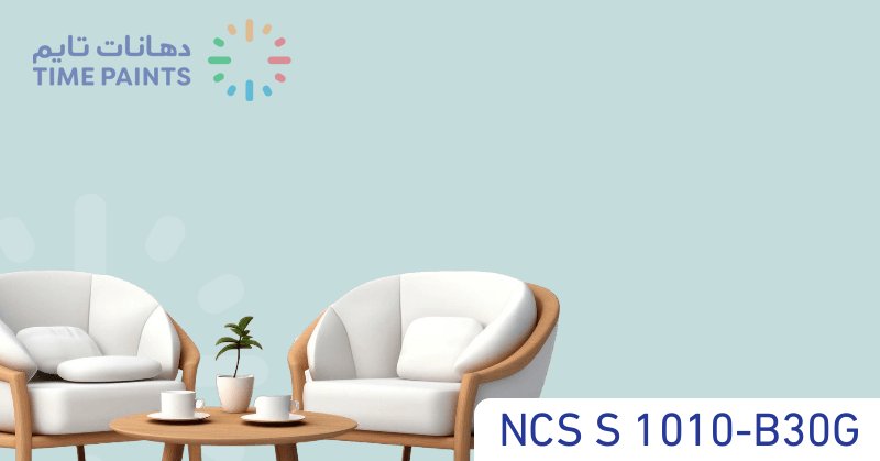 NCS S 1010-B30G